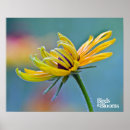 Recherche de susan posters Fleur jaune