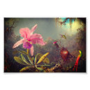 Recherche de colibri posters Martin johnson heade