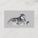 Recherche de chien de traîneau cartes visite Chiot