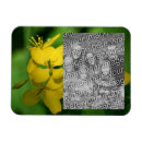 Recherche de fleurs sauvages magnets Fleur sauvage