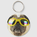 Recherche de pug accessoires Puppy