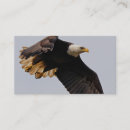 Recherche de monte cartes visite Aigle