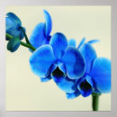 Recherche de blumen posters Muttertag
