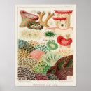 Recherche de scientific posters Vintage