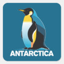 Recherche de faune antarctique autocollants Pour tous