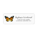 Recherche de papillon orange Vintage