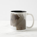 Recherche de plastique tasses Humour