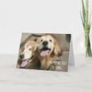 Recherche de deux chiens vœux cartes Dog