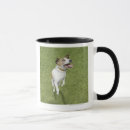 Recherche de intégrale tasses Vert