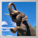 Recherche de for kids photographie Nature
