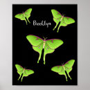Recherche de illustration papillon posters Pour enfants