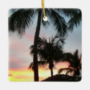 Recherche de paysage tropical ornements Palmier
