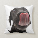 Recherche de de labrador retriever coussins Mignon