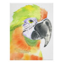 Recherche de peinture de perroquet posters Nature