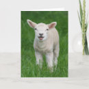 Recherche de élevage vœux cartes Animal mignon