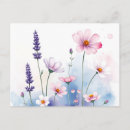 Recherche de fleur cosmos cartes postales Été