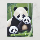 Recherche de panda bébé cartes postales Pour enfants