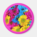 Recherche de marguerite rose magnets Marguerites colorées