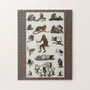 Recherche de chimpanzé puzzles Drôle
