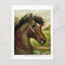 Recherche de course de cheval de pur sang Peinture