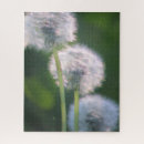 Recherche de tableau puzzles Pour elle