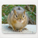 Recherche de animaux humoristiques tapis souris Faune