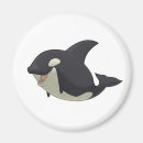 Recherche de veau magnets Jeune