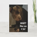 Recherche de corsos vœux cartes Pour tous