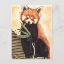 Recherche de peinture de panda cartes postales Rouge