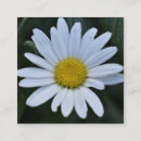 Recherche de marguerite jaune cartes visite Floral