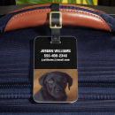 Recherche de animal bagages étiquettes Chien