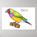 Recherche de gouldian posters Oiseau