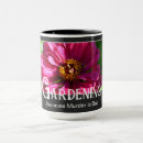Recherche de zinnia tasses Marguerie