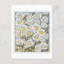 Recherche de marguerite vintage cartes postales Floral