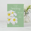 Recherche de frangipani invitations Fleurs tropicales