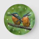 Recherche de martinique horloges Martin pêcheur