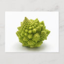 Recherche de brocoli cartes postales Blanc