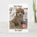 Recherche de tard anniversaire cartes Chien