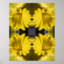 Recherche de jonquilles jaunes posters Abstrait