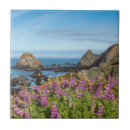 Recherche de fleur couvrante Fleurs