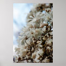 Recherche de stary posters Fleurs