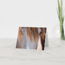 Recherche de visage de cheval cartes postales Yeux