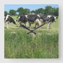 Recherche de lait vache horloges Vaches
