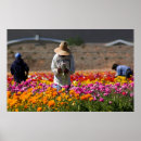 Recherche de sud américain posters Mexicain