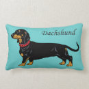 Recherche de petits chiens coussins Dachshund