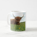 Recherche de vache tasses Cornes
