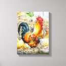 Recherche de coq toiles Pays