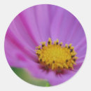 Recherche de pedaal autocollants Jardin