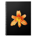 Recherche de tiger lily Lys