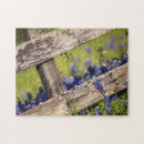 Recherche de texas bluebonnet Printemps